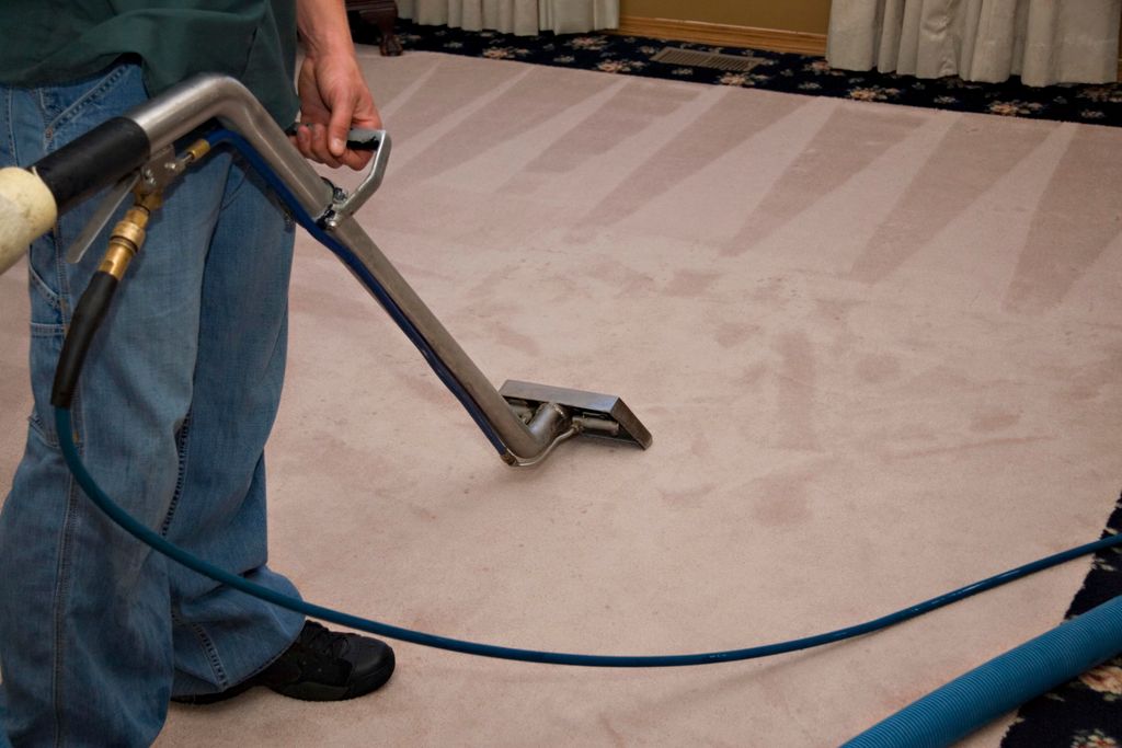 Carpet cleaning specialist