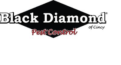 The 10 Best Exterminators In Cincinnati Oh With Free Estimates