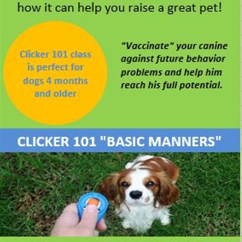 Basic Manners Class offered at Pet Medical Center 