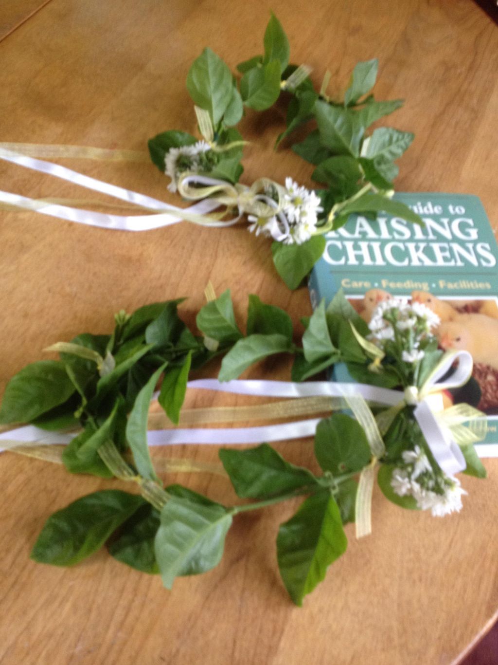 Little White Jasmine and Daisy wedding crowns with