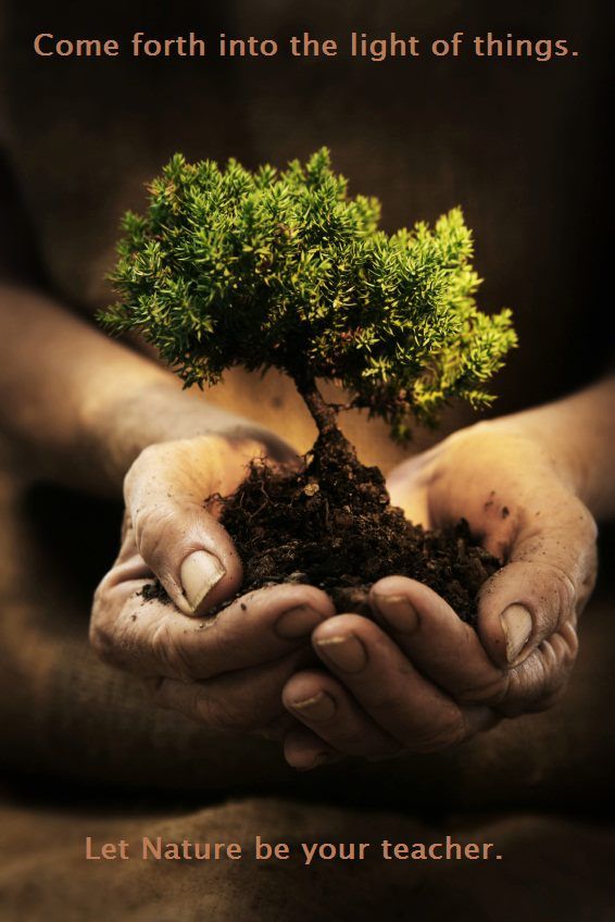 Plan an environmentally  sustainable event or conf