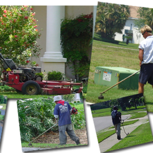 LAWN SERVICE FOR YOUR HOME OR BUSINESS
With over t