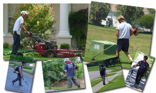 LAWN SERVICE FOR YOUR HOME OR BUSINESS
With over t