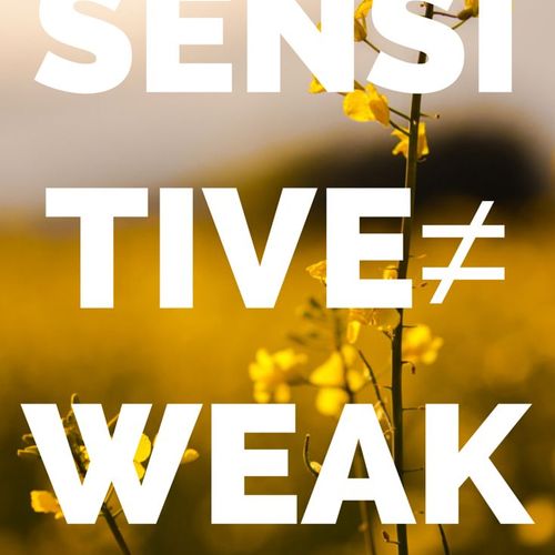 Being "Highly Sensitive" DOES NOT equal "You're so