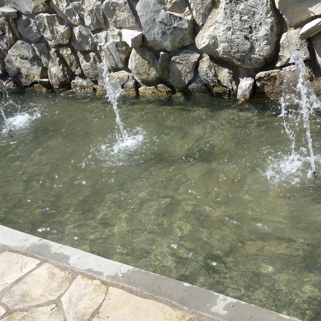 Pond Solutions Beverly Hills