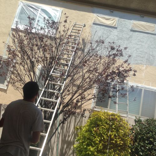 Spraying an exterior in clairmont San Diego. Bulma