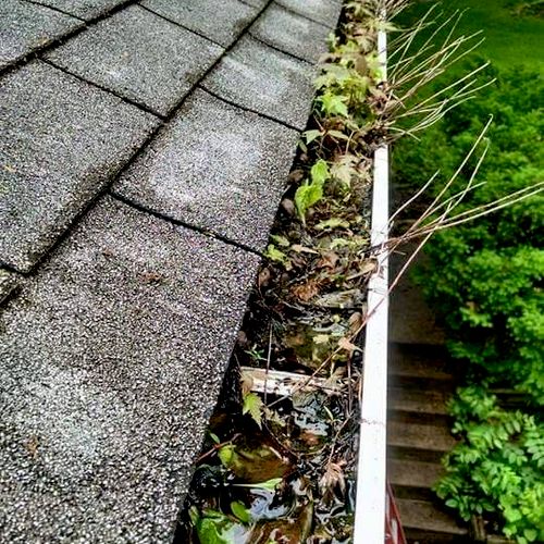 Before - Overflowing gutters