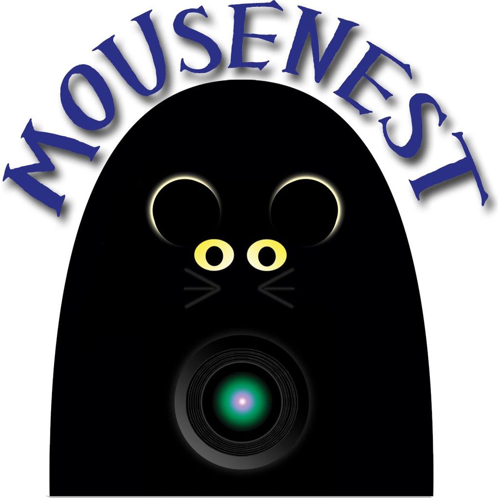 Mouse Nest Productions
