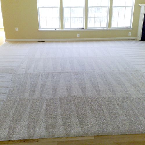 Perfect vacuum lines makes your carpet look like i