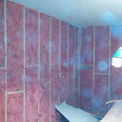 Mold Removal and replaced Insulation