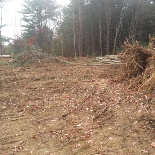 Land clearing in Franklin ma