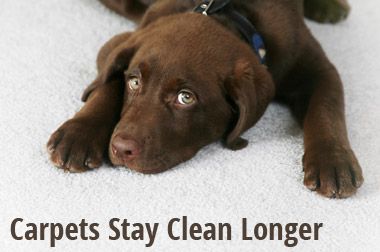 Carpets Stay Clean Longer