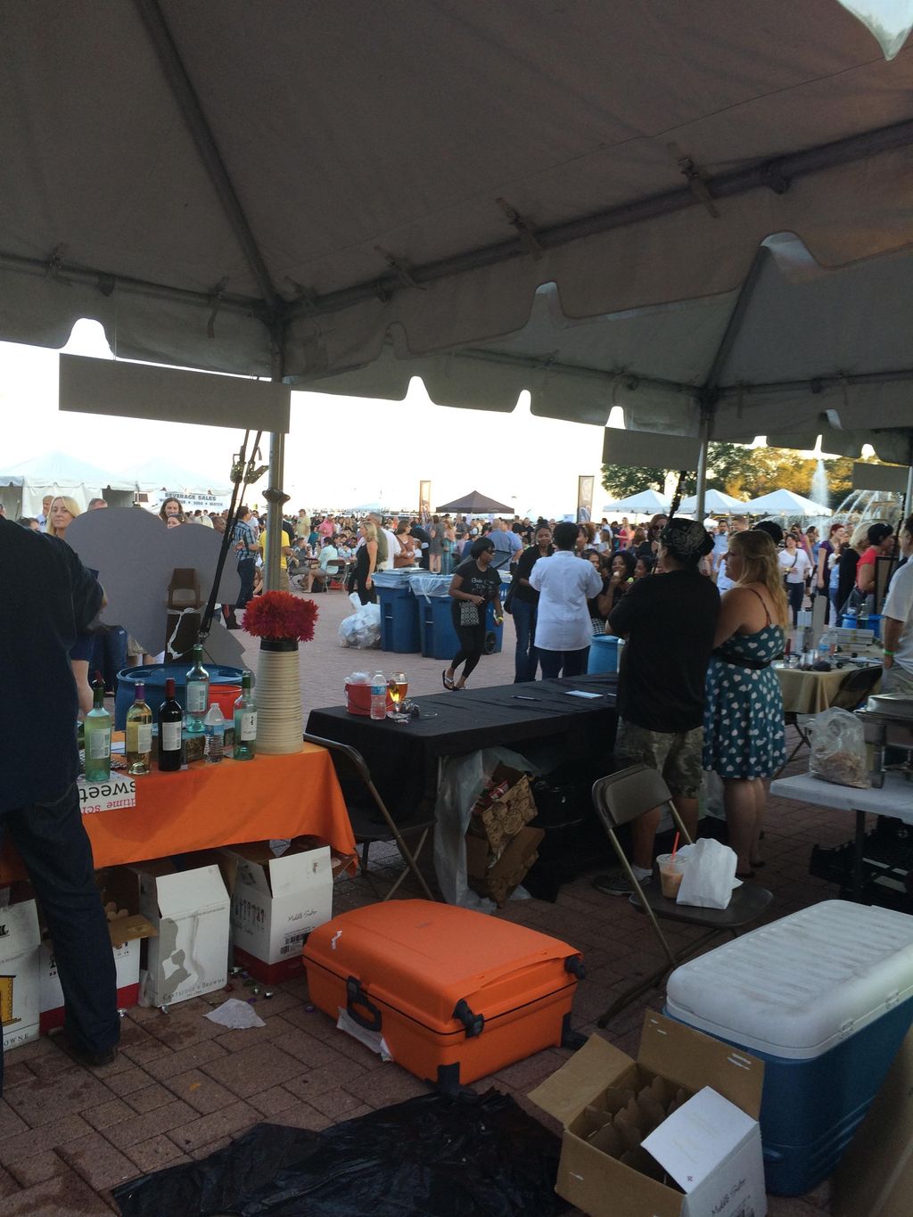 Looking out at Buckingham Fountain for the Windy C