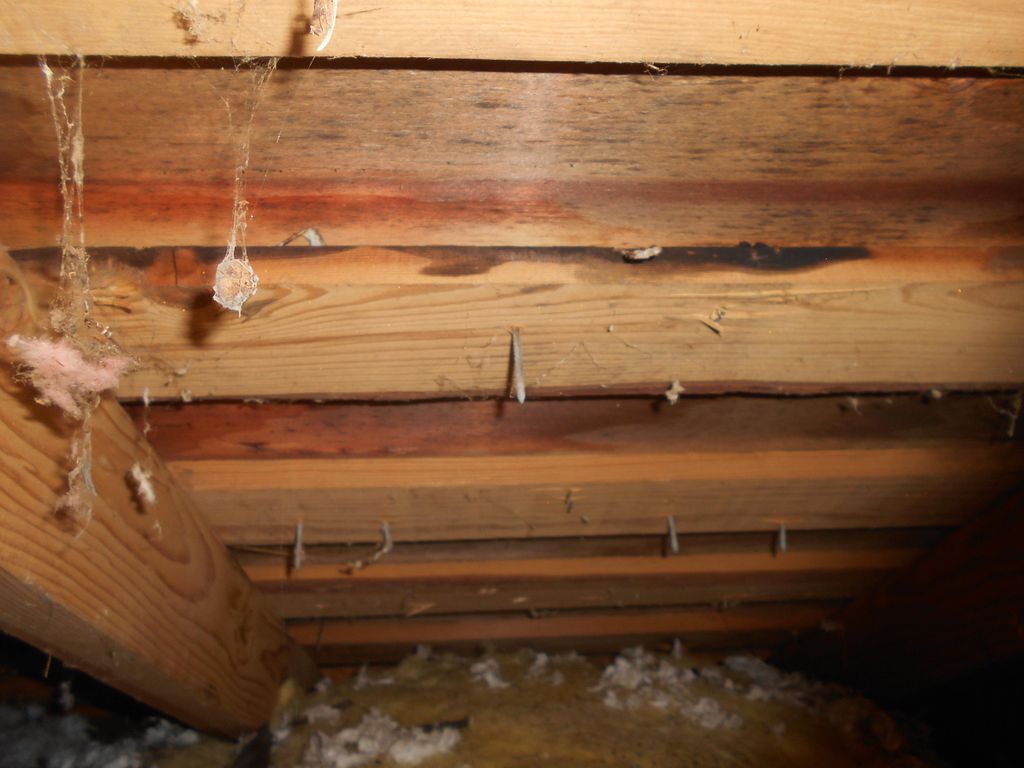 Undisclosed Fire Damage