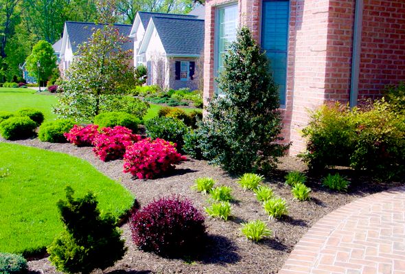 Landscaping