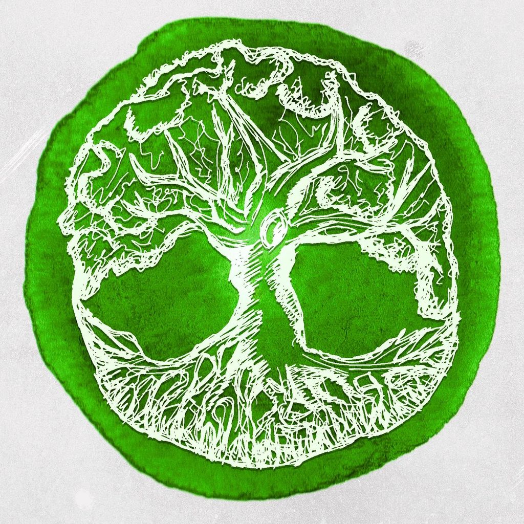 West Coast Tree Surgery