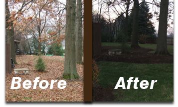 Fall cleanup. Almost spotless...lol