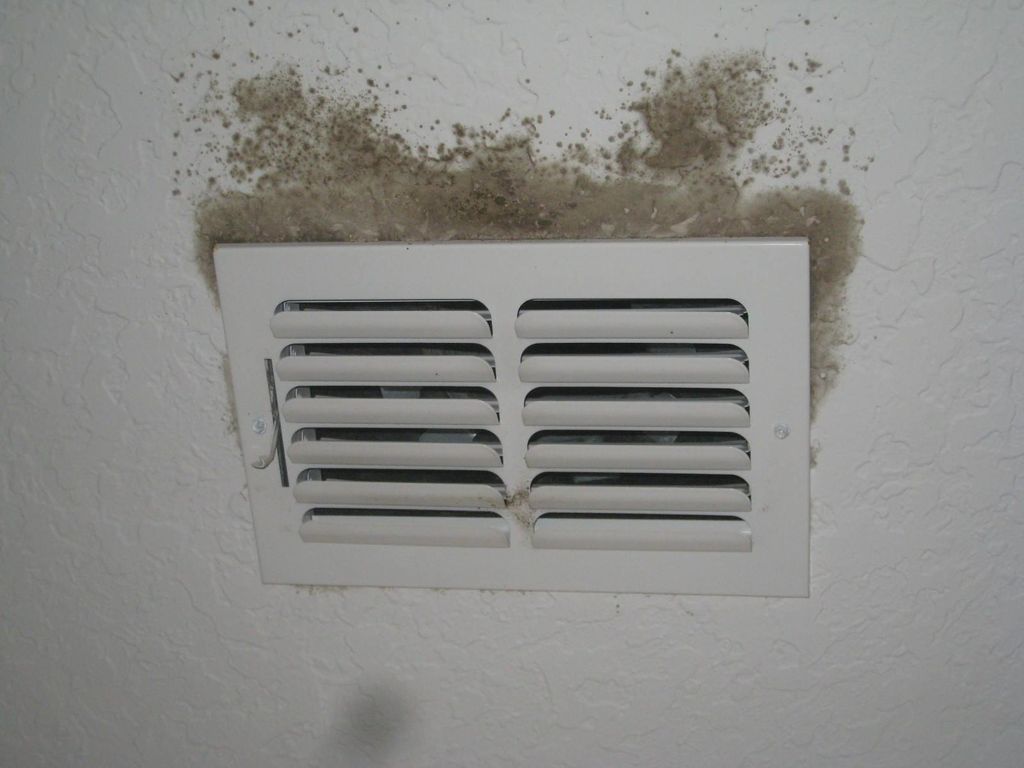 HVAC Supply vent with Microbial growth before trea