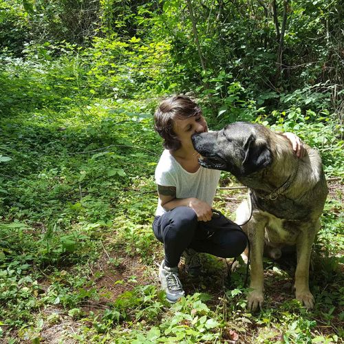 Very large puppy kisses!