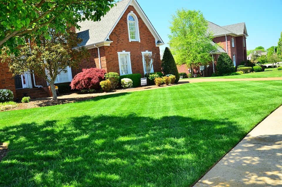 Satisfied lawn customer in Mountain Brook!