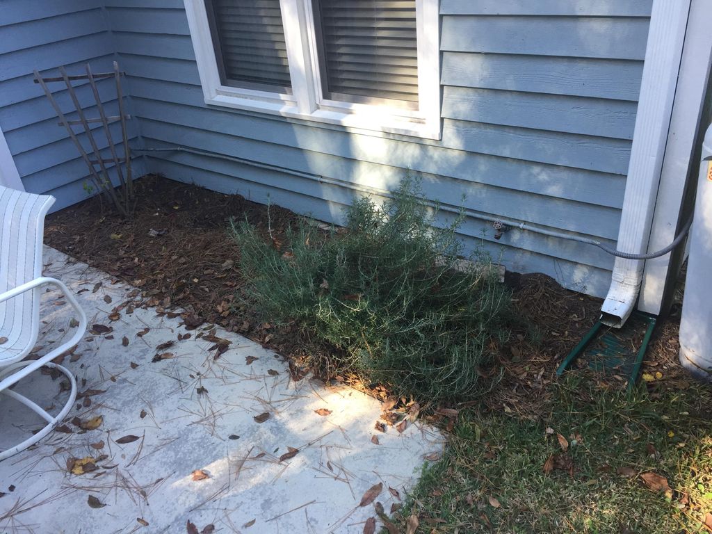 Patio bed prior to upgrade
