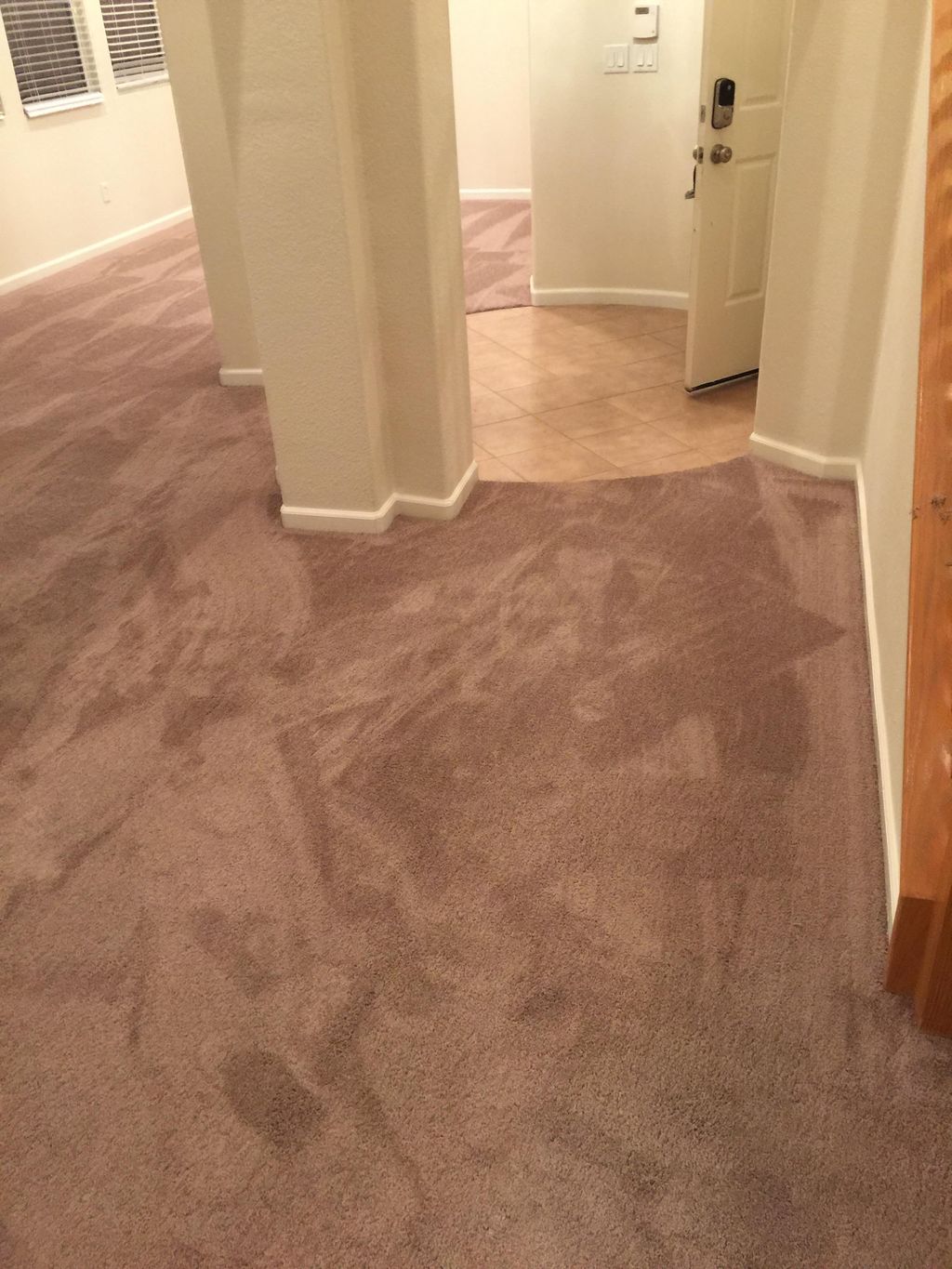 Carpet installer