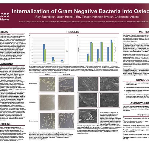 Internalization of Gram Negative Bacteria into Ost