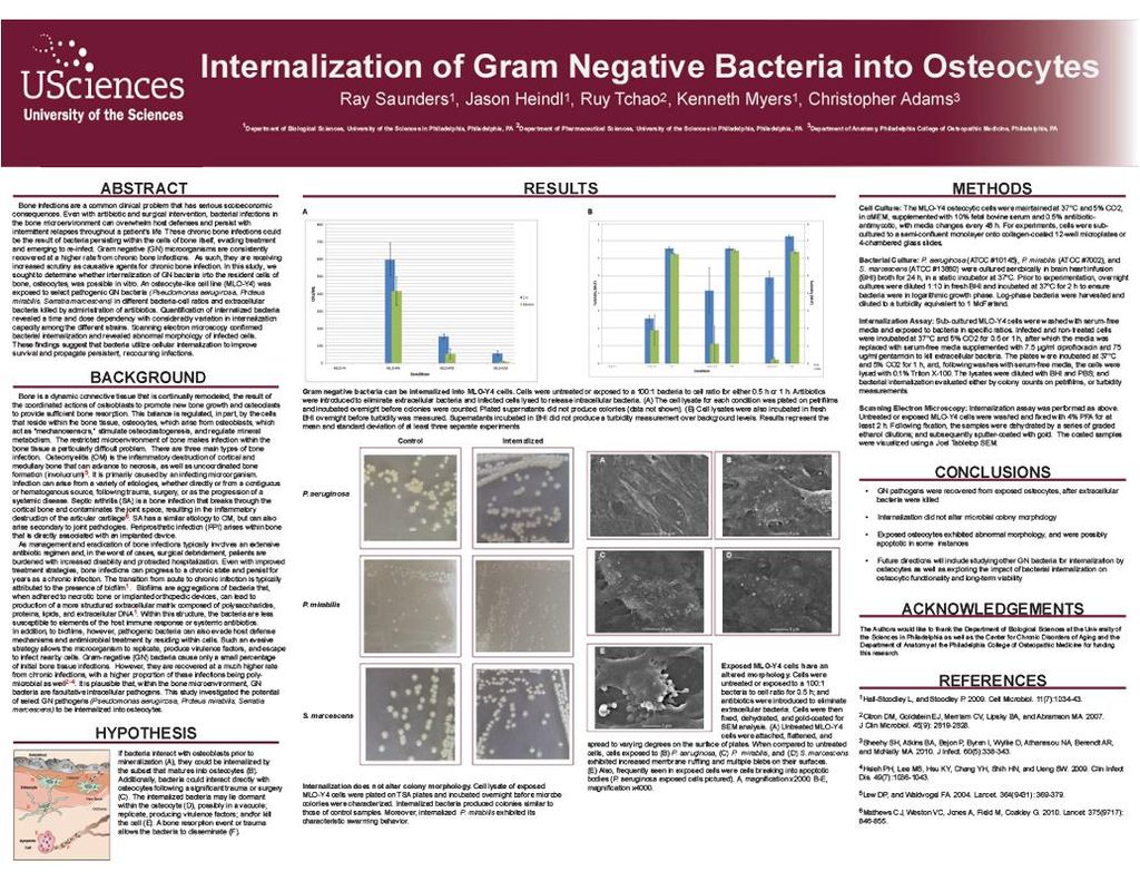 Internalization of Gram Negative Bacteria into Ost