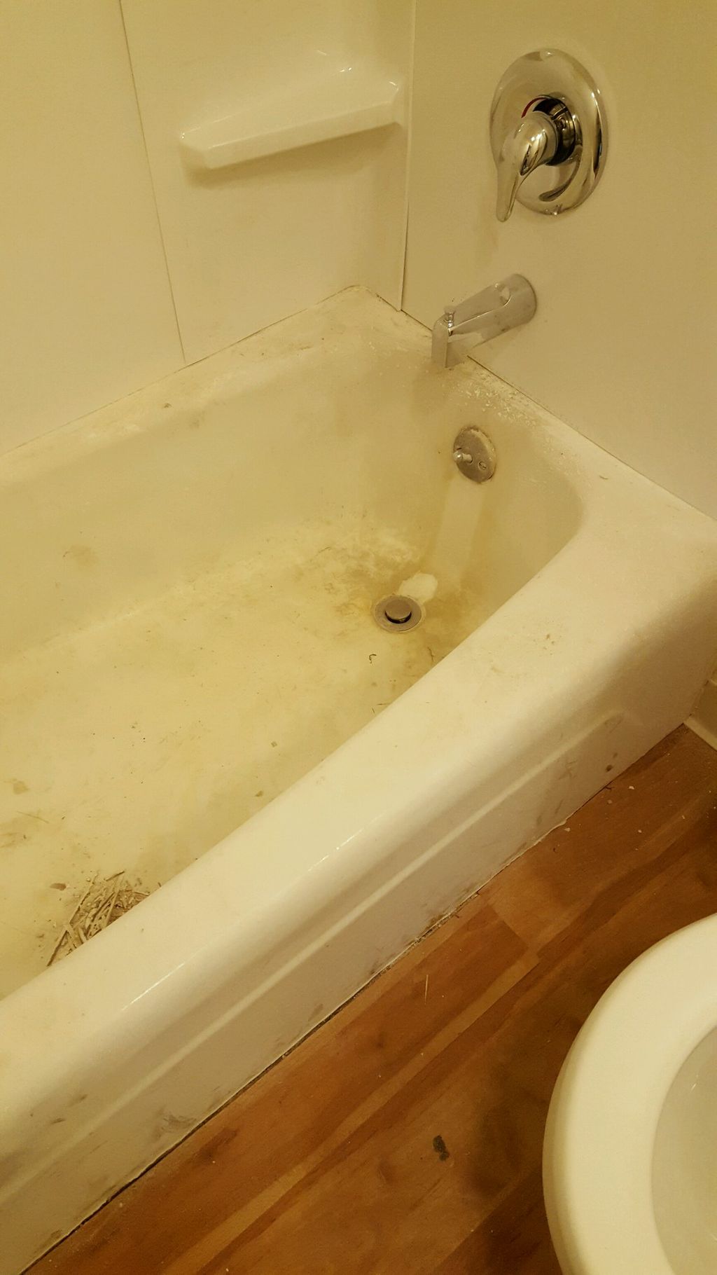 Before photo of tub -- Missoula house cleaning