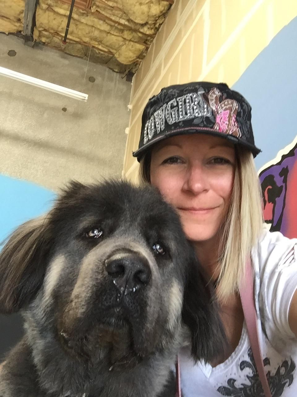All sizes. 1 yr old Tibetan Mastiff Kailasha