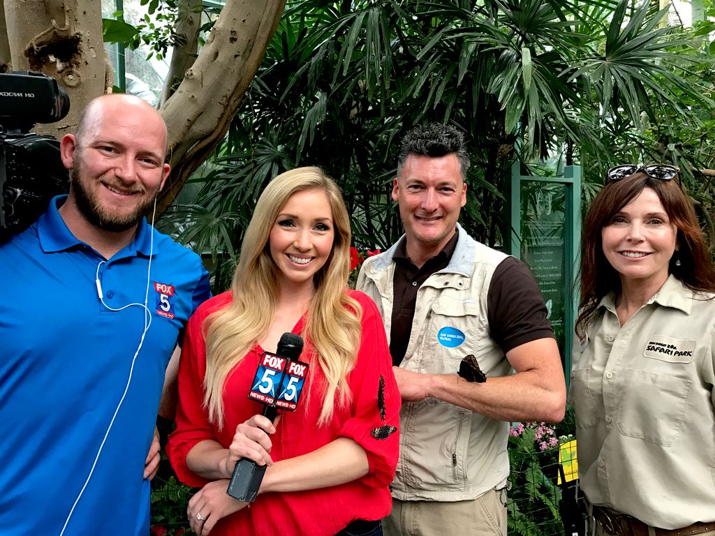 At work during our butterfly promotion.
