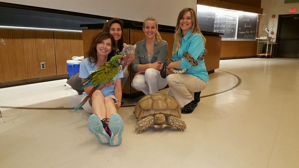 Some of my critters at a program.