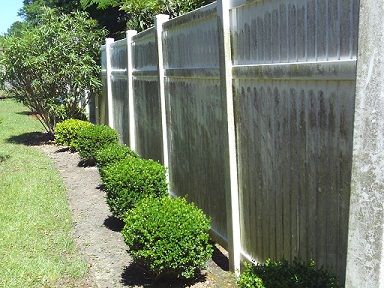 Fence before cleaning