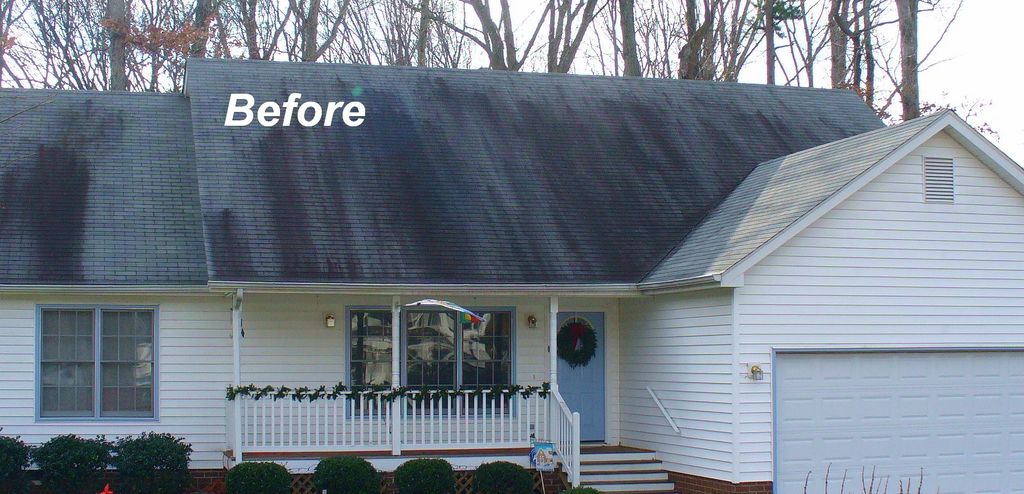 roof cleaning "before"