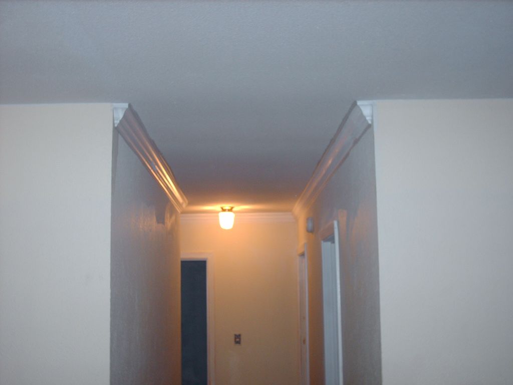 scraped the popcorn ceilings, painted and put up c