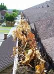 Gutter