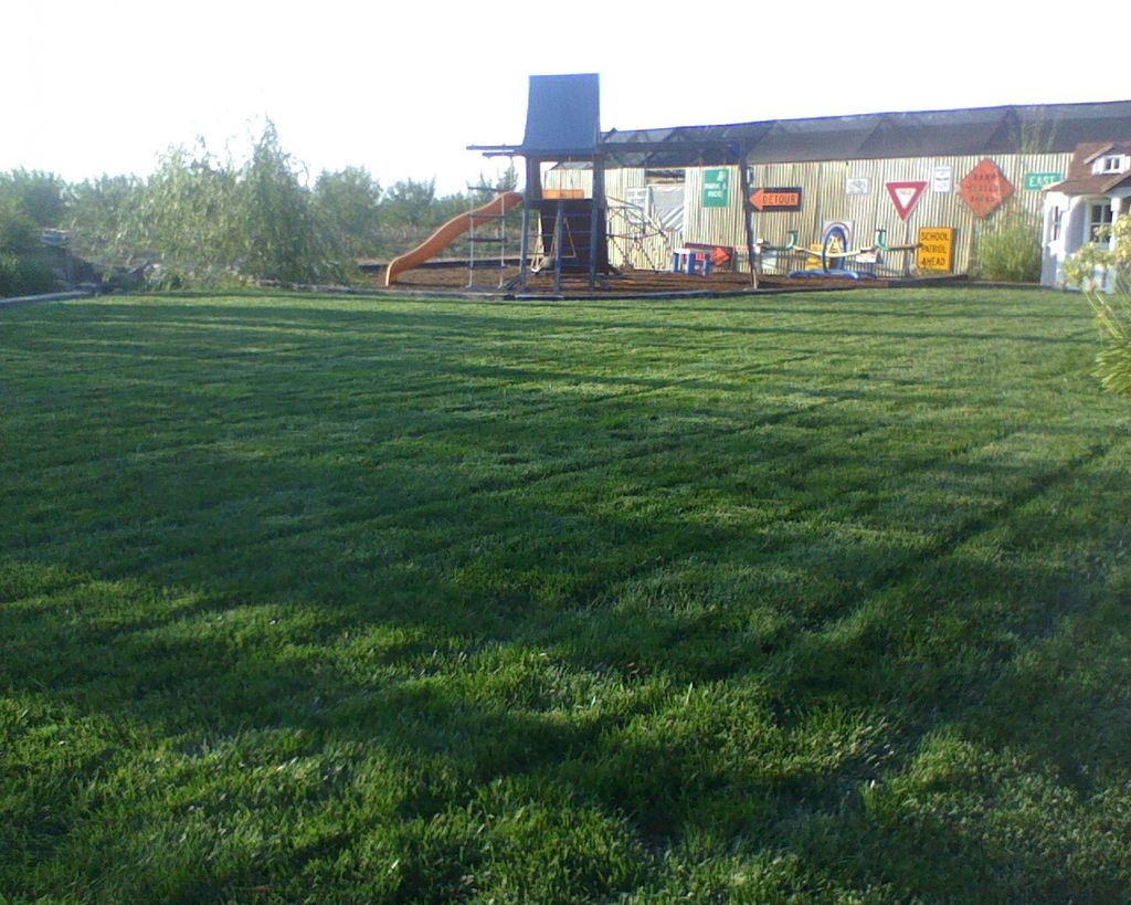 Apple Tree Lawncare