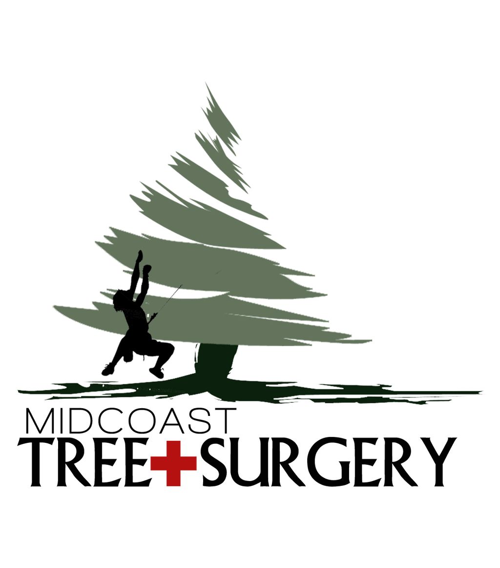 Maine Tree Surgery