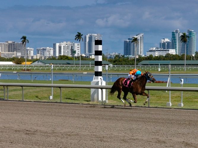 Alone at the top; Gulfstream Park