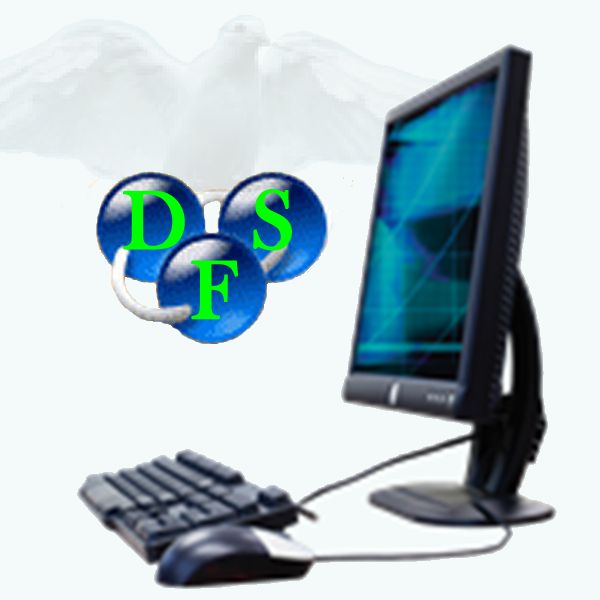 DFS Computers