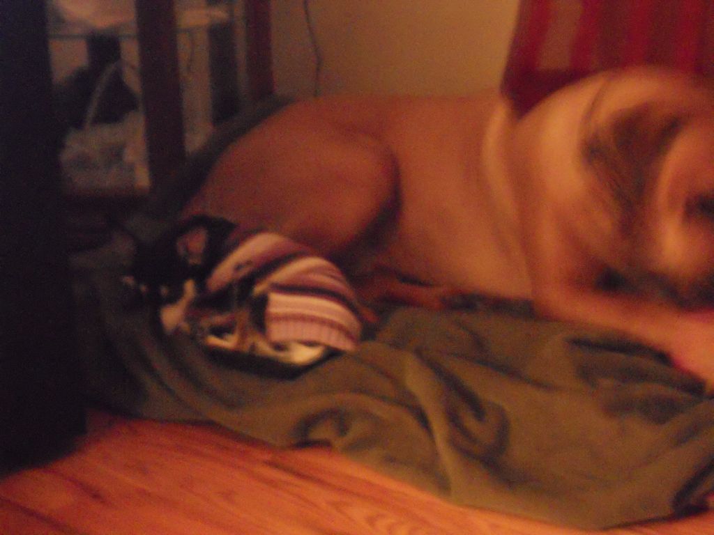 This is our loving giant Scooby, and our little on