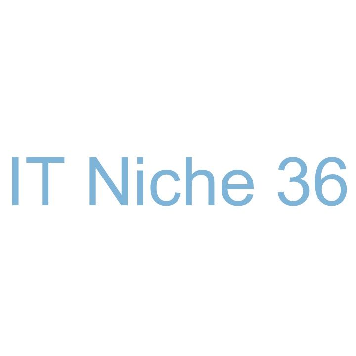 IT Niche 36 LLC