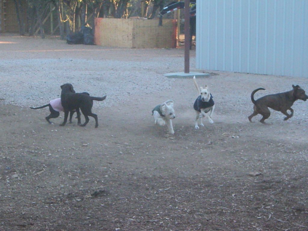 Ranch Crew showing off