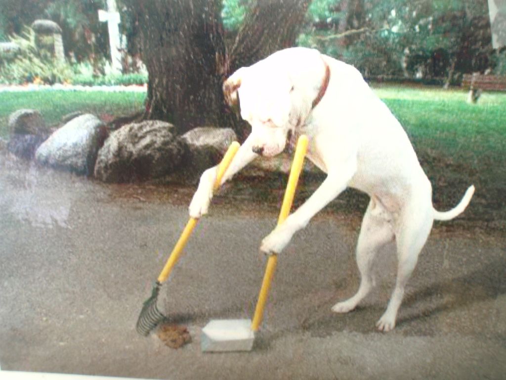 all my buddies get maid service!
