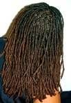 We start dread locks from the afro