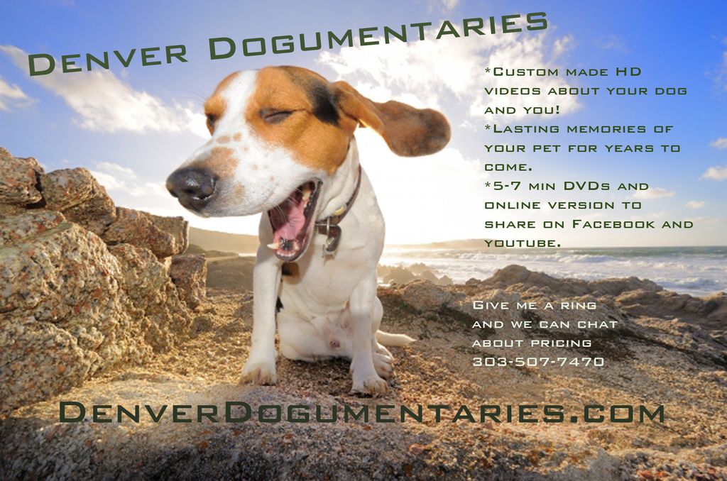 Denver Dogumentaries