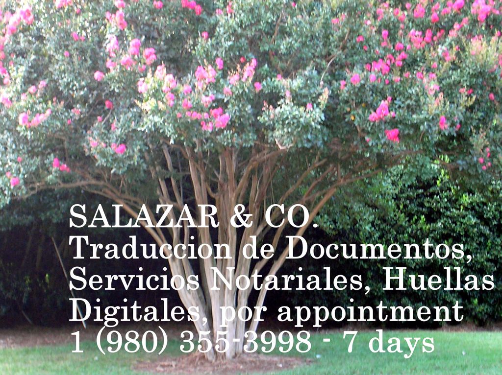 Salazar & Co.