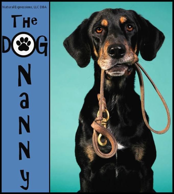The DOG Nanny