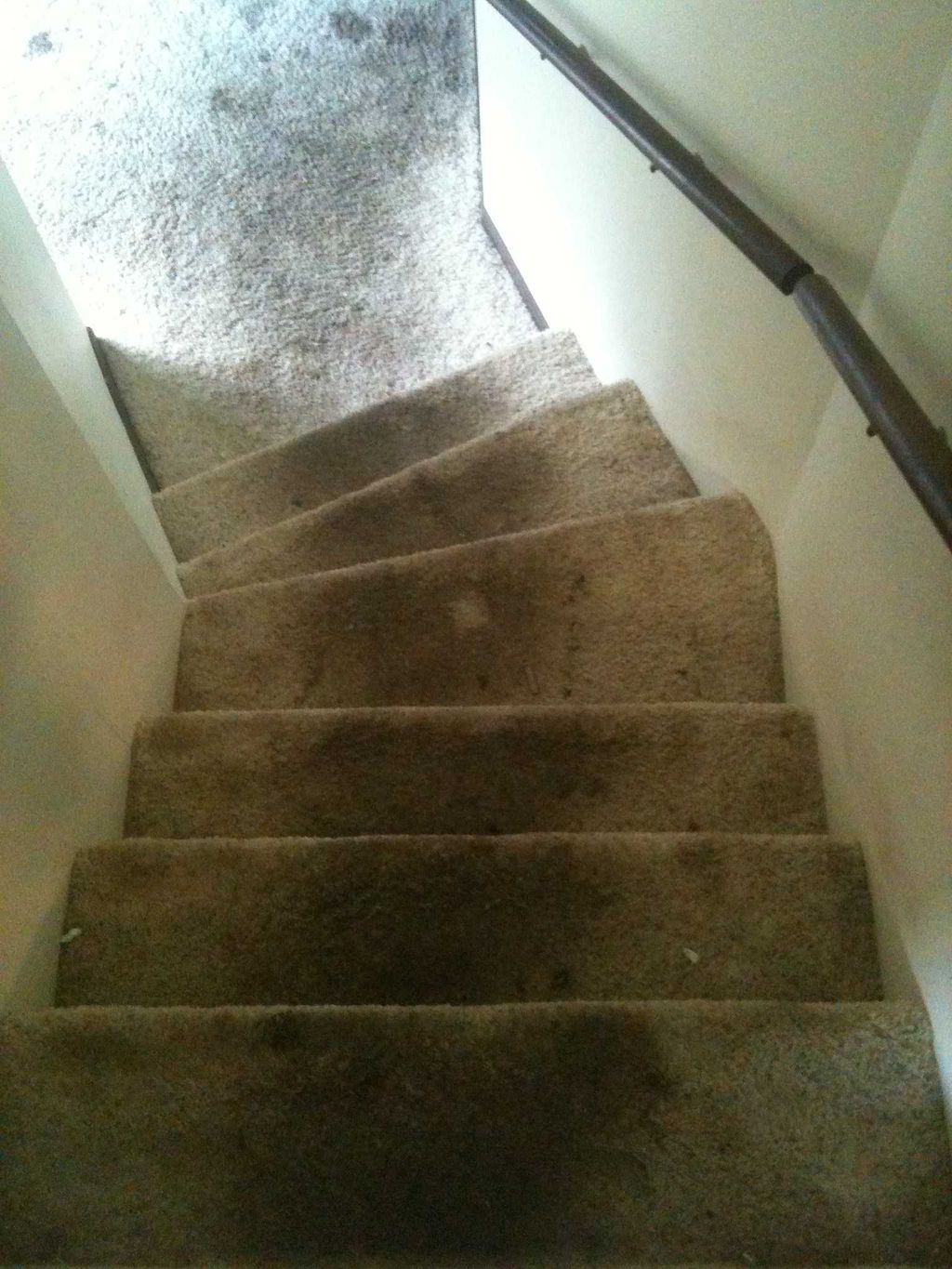 Carpet Cleaning (Before)