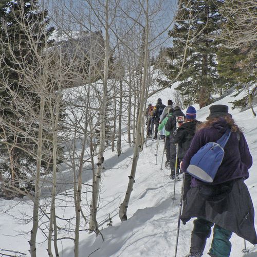 Epic Colorado Snowshoeing Trips in Rocky Mountain 